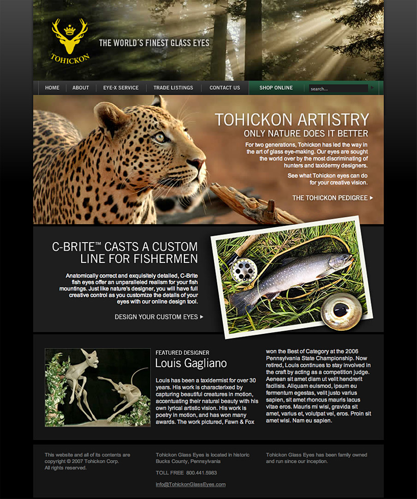 Tohickon Glass Eyes Website